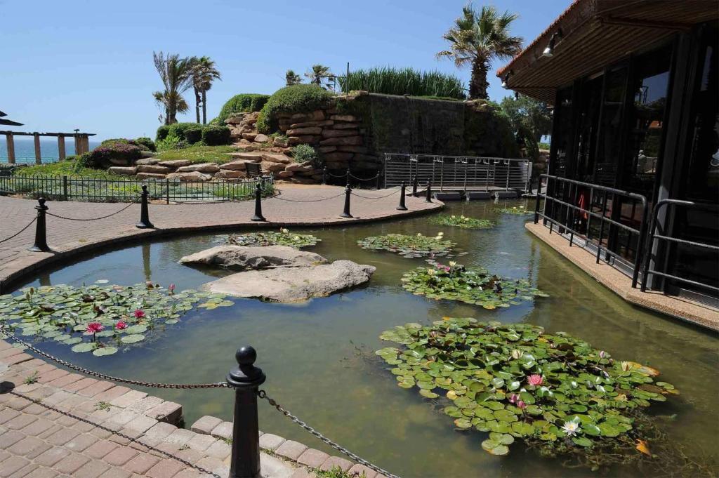 Park Hotel Netanya Dış mekan fotoğraf